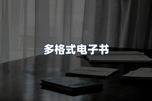 多格式电子书